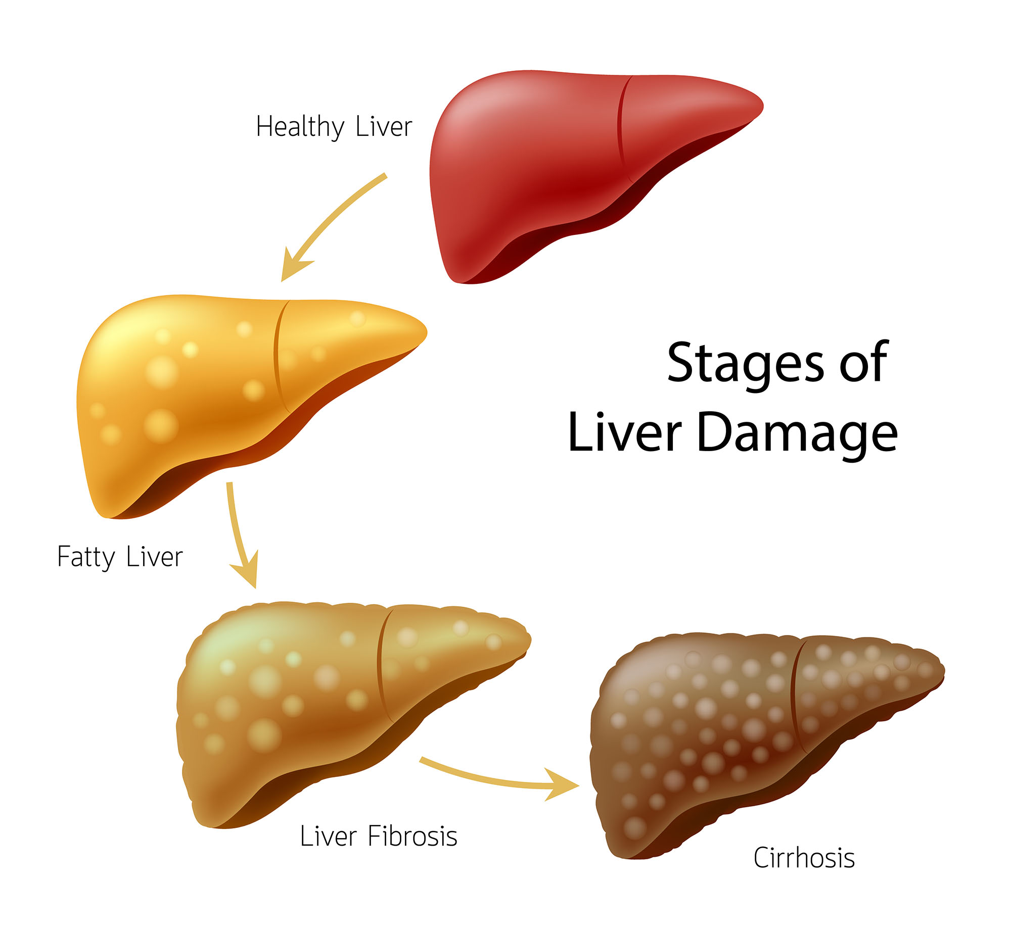 the-earliest-symptoms-of-liver-damage-healthy-facts-stomach