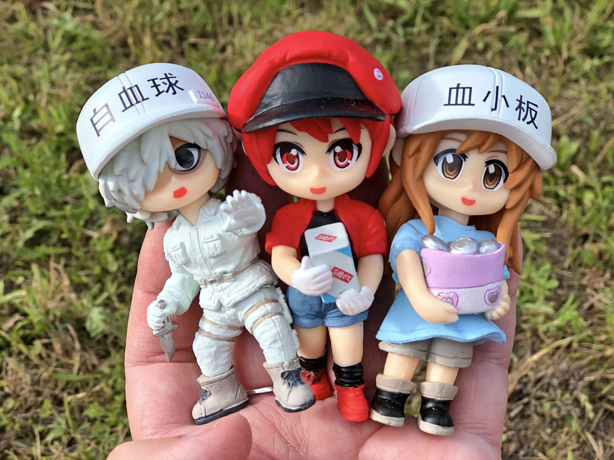 Dolls that represent white blood cells, red blood cells, and platelets? Yep, they exist, although we're not sure why :).