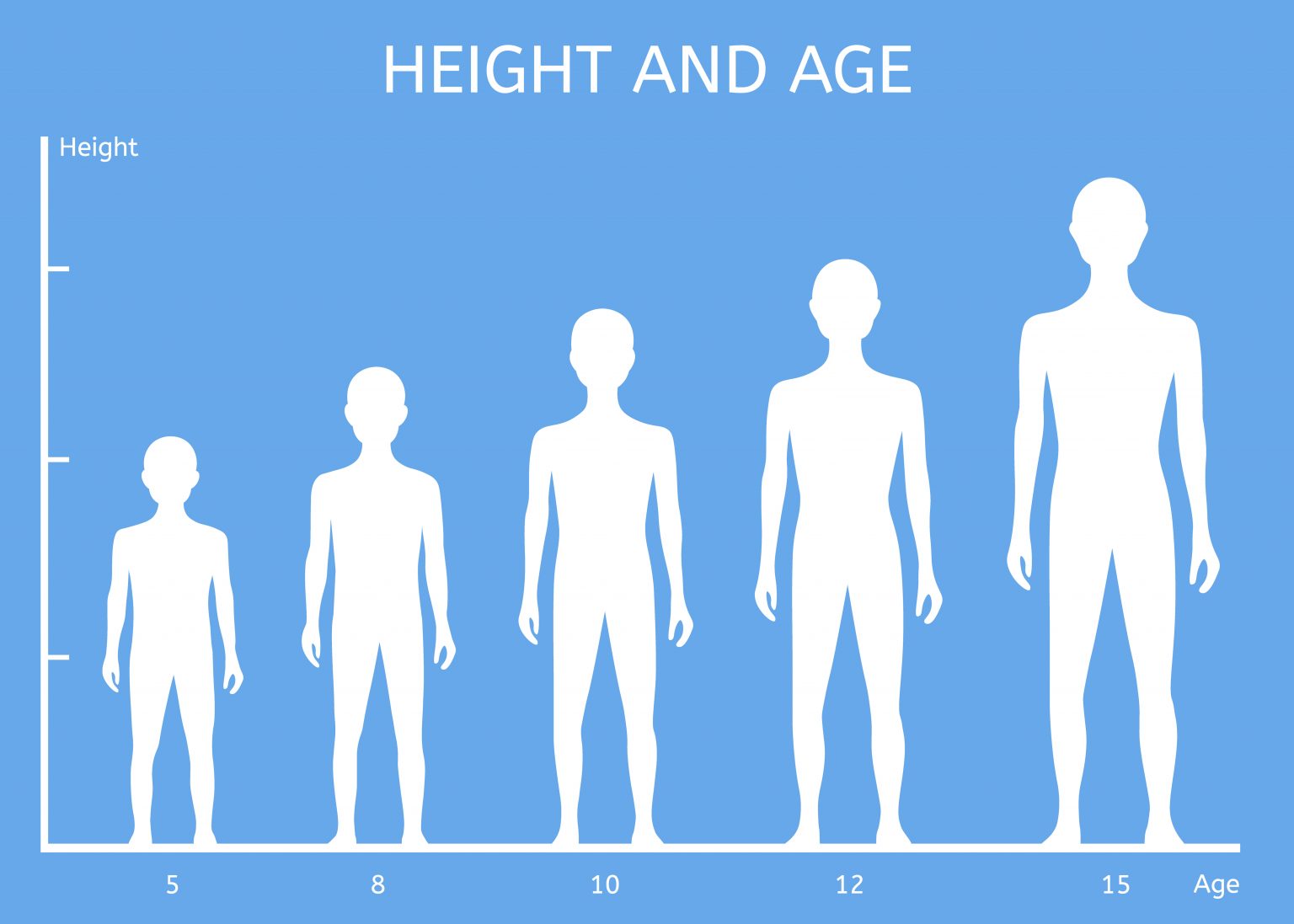 7b3 Puberty HumanBio