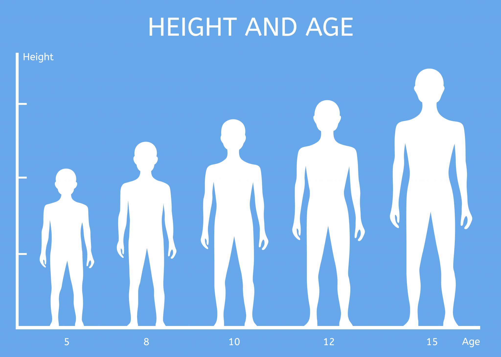 7b3-puberty-humanbio