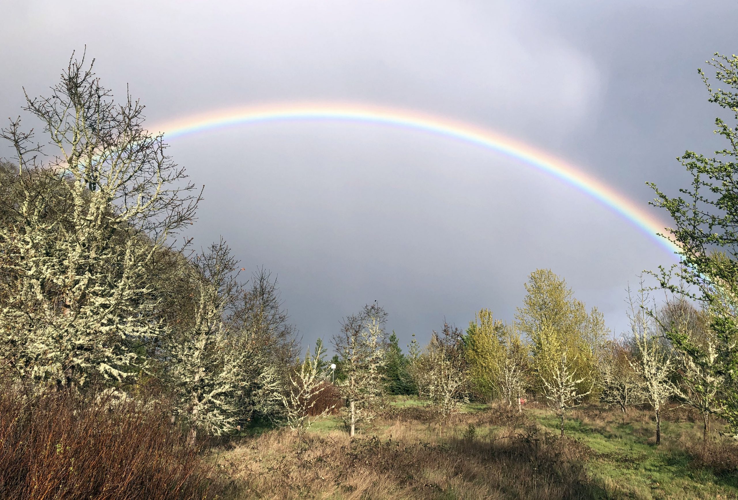 epic day rainbow