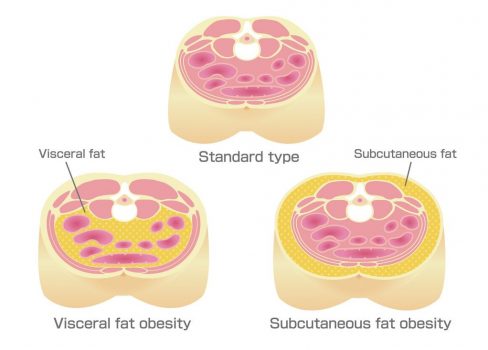 fat types