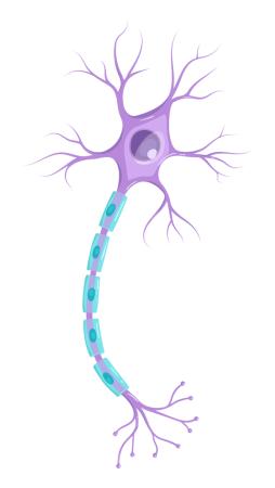 6A System – HumanBio