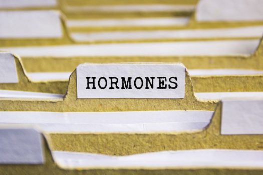 hormones top